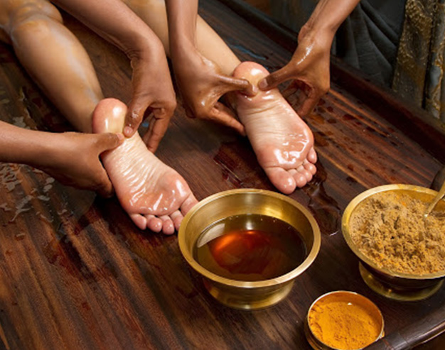 Natural ingredients used in holistic wellness care